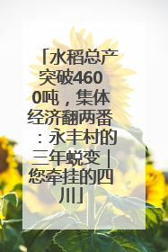 水稻总产突破4600吨，集体经济翻两番：永丰村的三年蜕变｜您牵挂的四川